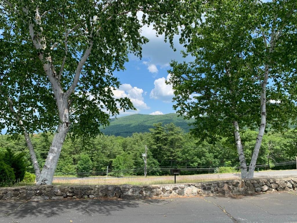 Travelodge By Wyndham Lake George Ny Exterior foto